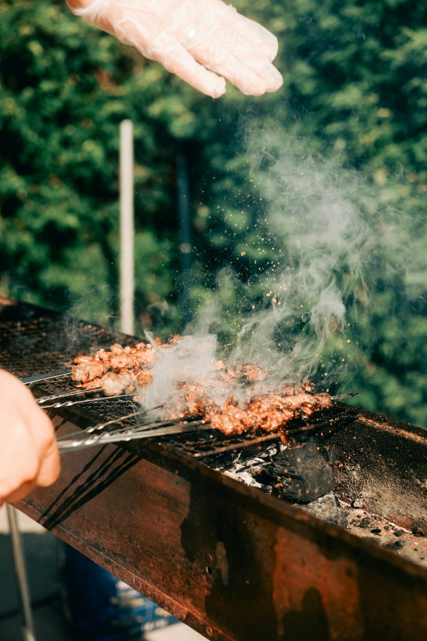Transforming Basic Meals Into Culinary Masterpieces